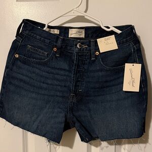 Universal Thread Indigo Denim Shorts